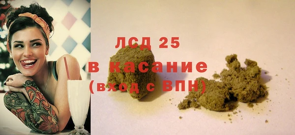 сатива Елабуга