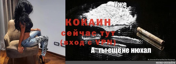 сатива Елабуга