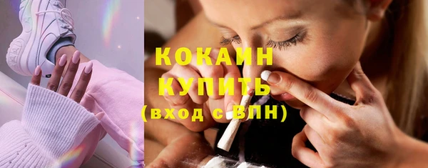сатива Елабуга