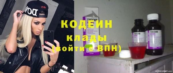 сатива Елабуга