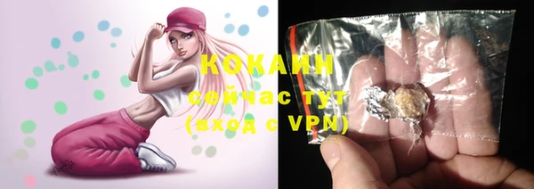 сатива Елабуга