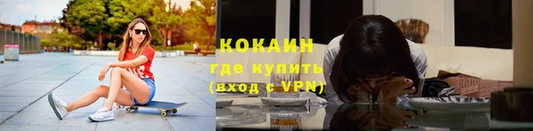 молекула духа Туринск