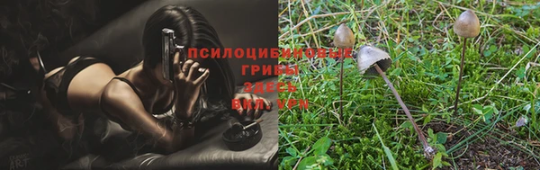 кокаин Ельня