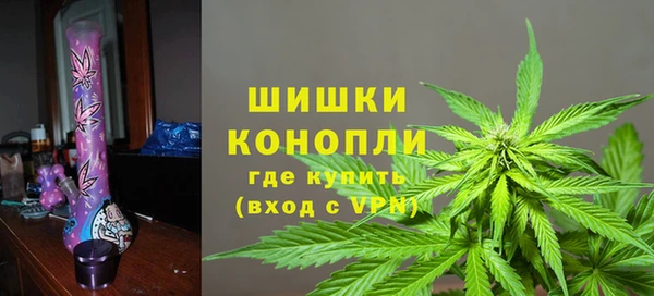 сатива Елабуга