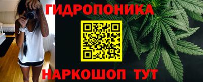 спайс Обь
