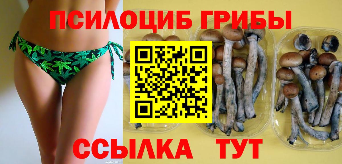Рузаевка  Галлюциногенные грибы GOLDEN TEACHER  Вход с VPN 